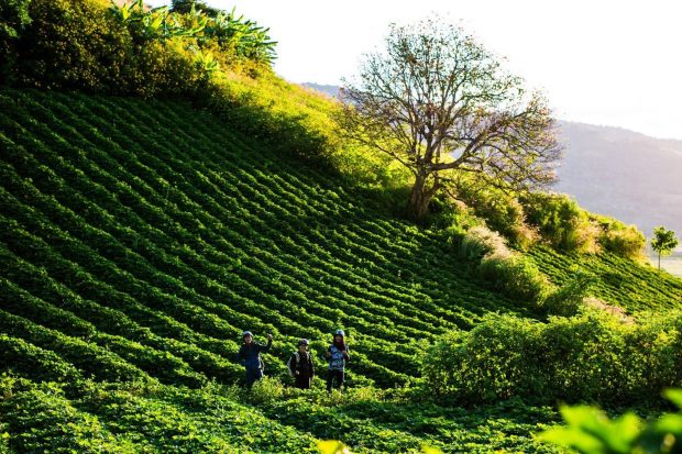 đặt vé máy bay đi pleiku giá rẻ